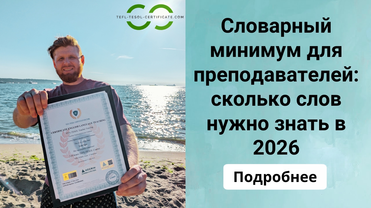 Словарный минимум для преподавателей: сколько слов нужно знать в 2026