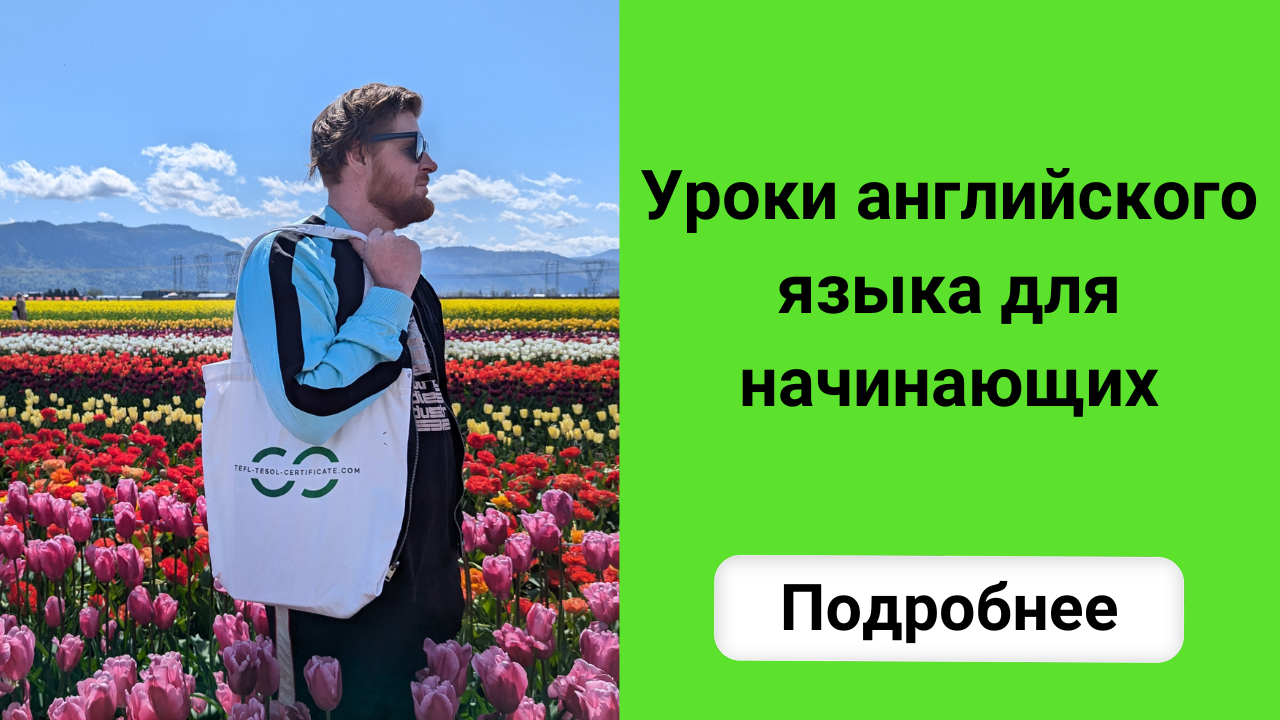 Уроки английского языка для начинающих